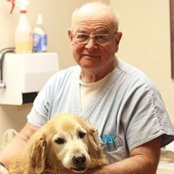 Timmins Veterinarian